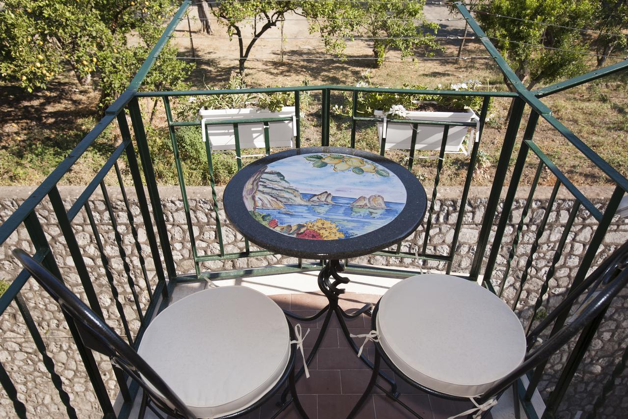 Golfo Delle Sirene Bed & Breakfast Соренто Екстериор снимка